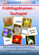 Frühlingsblumen-Suchspiel.pdf